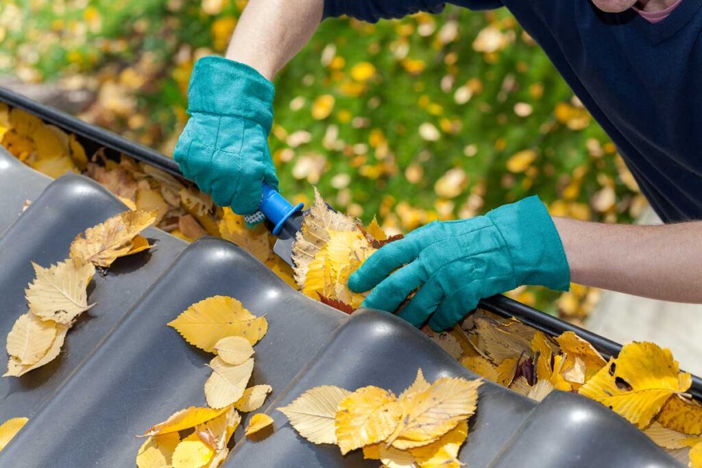 How Proper Gutter Maintenance Extends the Life of Your Roof in Electric City SC 1 Man performing gutter maintenance in Electric City SC by removing dried leaves.