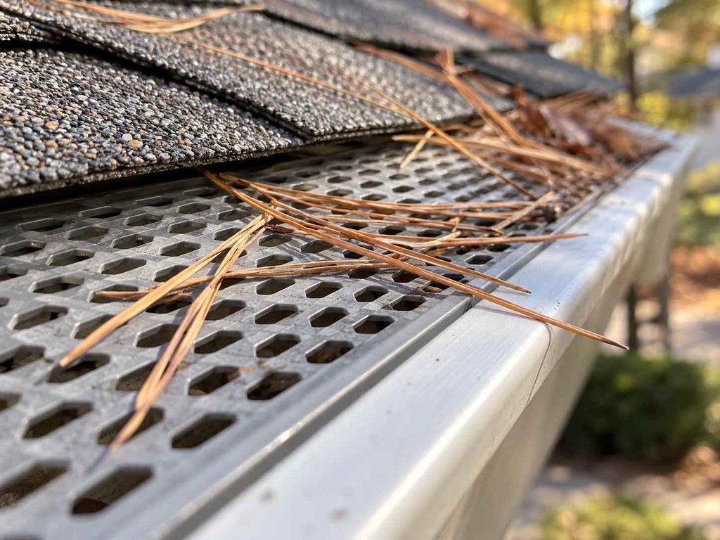 gutter guards for pine needles