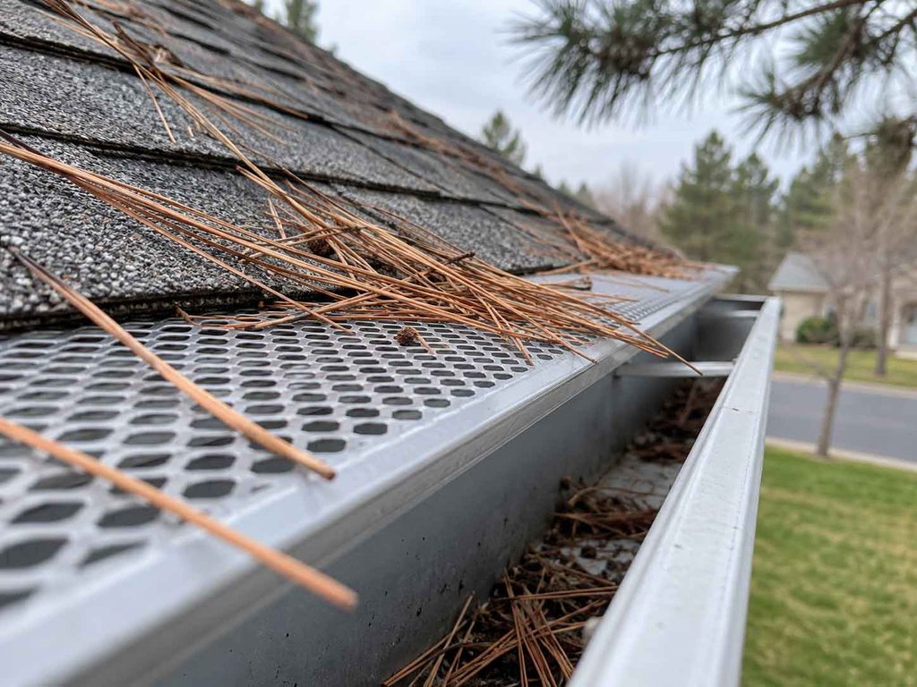 Choosing gutter guards for pine needles in Anderson SC Gutter Guards for Pine Needles: Essential Anderson Guide - Palmetto State Gutterman LLC